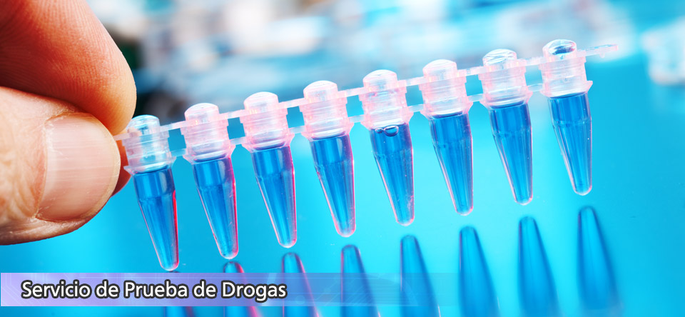Prueba de Drogas